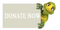 help save sea turtles, charitable donations tax deduction, donate your boat, donation, donations, make donation
